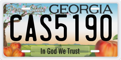 GA license plate CAS5190