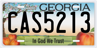 GA license plate CAS5213