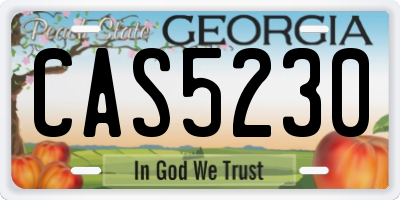 GA license plate CAS5230
