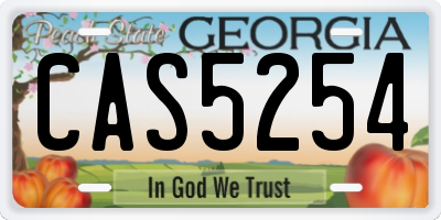 GA license plate CAS5254