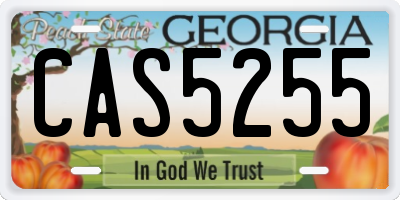 GA license plate CAS5255