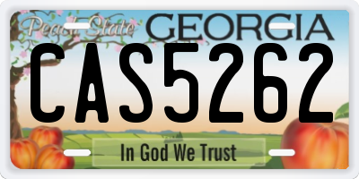 GA license plate CAS5262