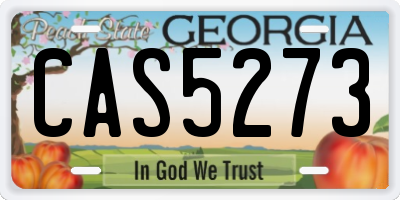 GA license plate CAS5273