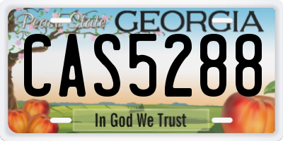 GA license plate CAS5288