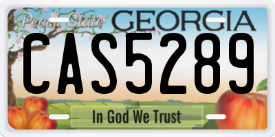 GA license plate CAS5289