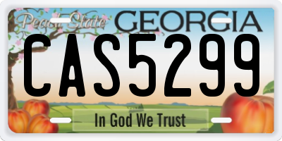 GA license plate CAS5299