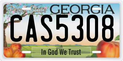 GA license plate CAS5308