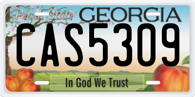 GA license plate CAS5309