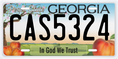 GA license plate CAS5324