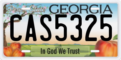 GA license plate CAS5325