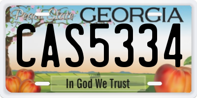 GA license plate CAS5334