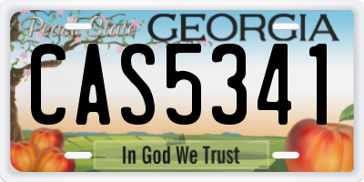 GA license plate CAS5341