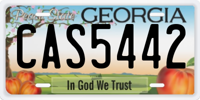 GA license plate CAS5442