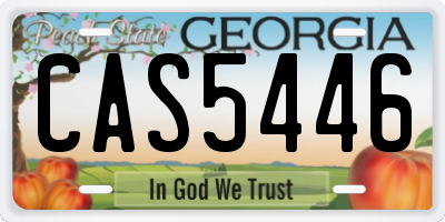 GA license plate CAS5446