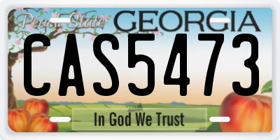 GA license plate CAS5473