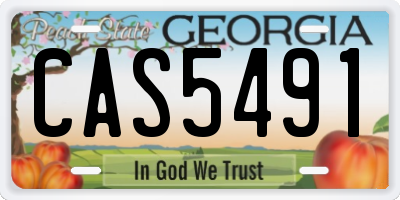 GA license plate CAS5491