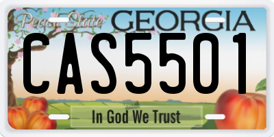 GA license plate CAS5501