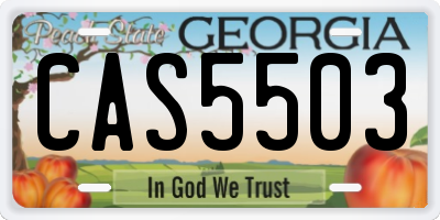 GA license plate CAS5503