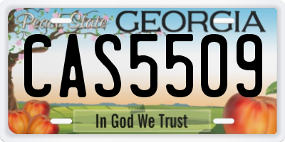 GA license plate CAS5509