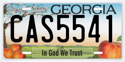GA license plate CAS5541