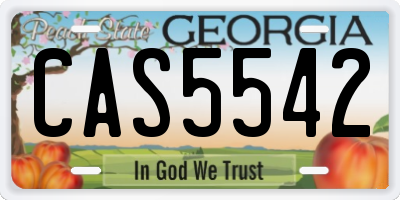 GA license plate CAS5542