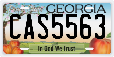 GA license plate CAS5563