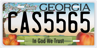 GA license plate CAS5565