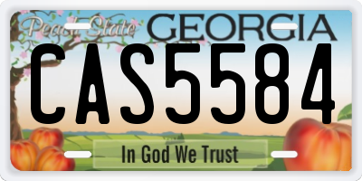 GA license plate CAS5584