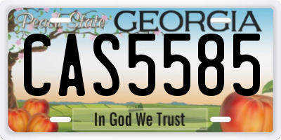 GA license plate CAS5585