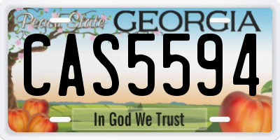 GA license plate CAS5594