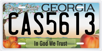 GA license plate CAS5613