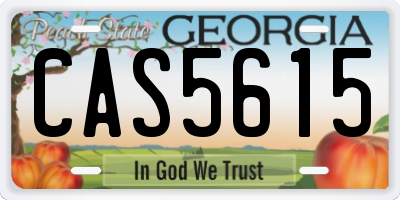 GA license plate CAS5615