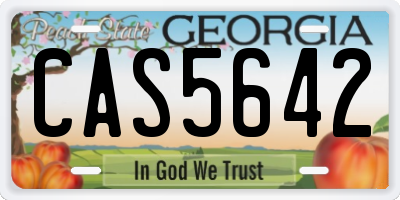 GA license plate CAS5642