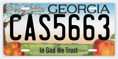 GA license plate CAS5663