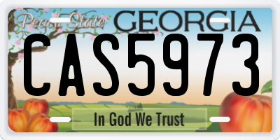 GA license plate CAS5973
