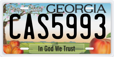 GA license plate CAS5993