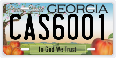 GA license plate CAS6001