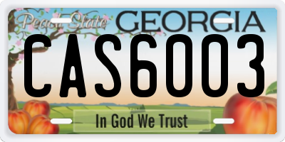 GA license plate CAS6003