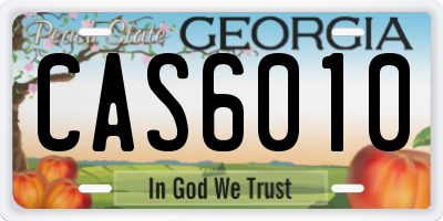 GA license plate CAS6010