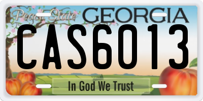 GA license plate CAS6013