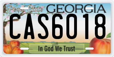 GA license plate CAS6018