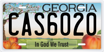 GA license plate CAS6020