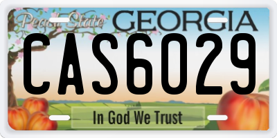 GA license plate CAS6029