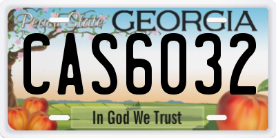 GA license plate CAS6032