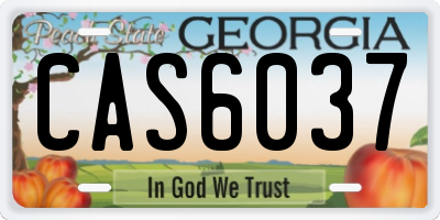GA license plate CAS6037