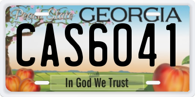 GA license plate CAS6041