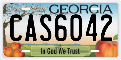 GA license plate CAS6042