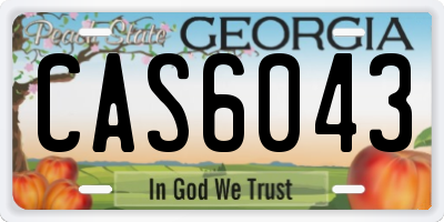 GA license plate CAS6043