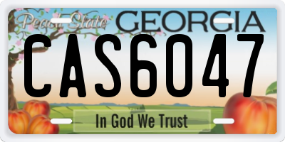 GA license plate CAS6047