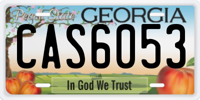 GA license plate CAS6053